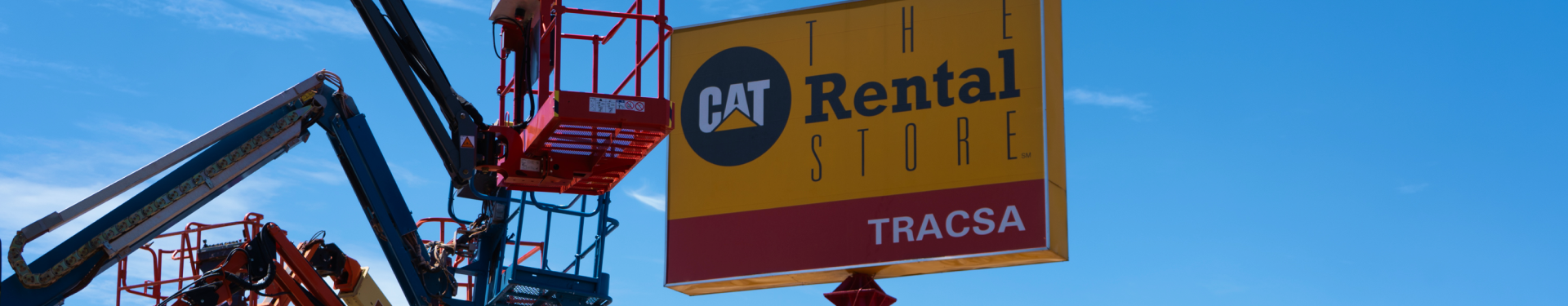 The Cat Rental Store